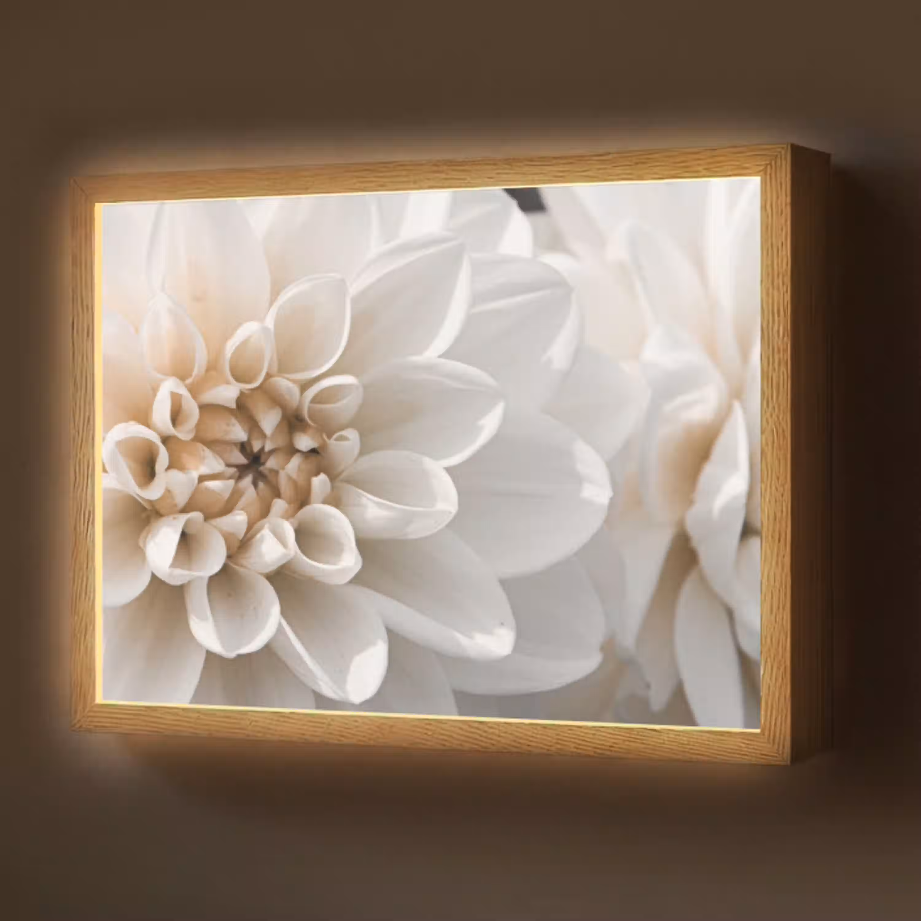 naturals-desenio-ferrari-ai-vexhvtpmz4zg9lxs-light-box-met-batterij-wandlamp-middel-z3d-website.jpg