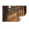 Bos - Mist - Zonlicht Muursticker klein -3d