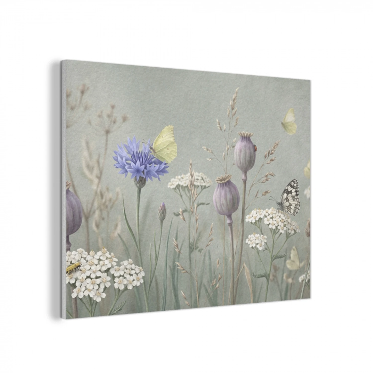 Vlinders - Wildbloemen - Illustratie - Kleurrijk PET vilt klein -3d