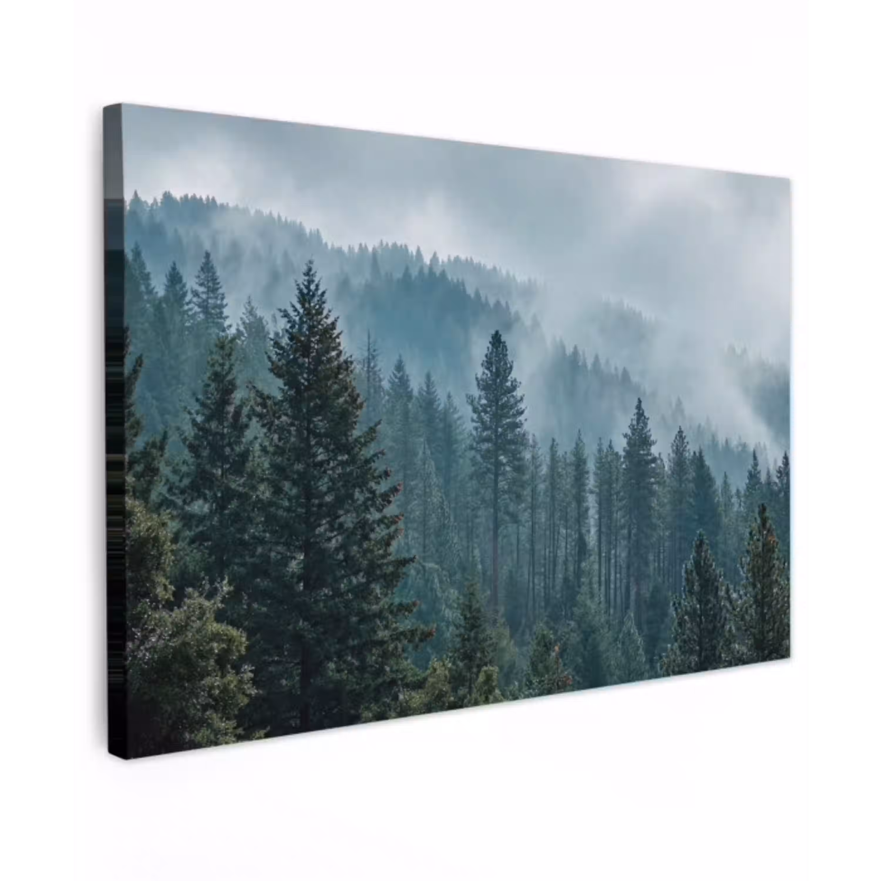 Naaldwoud - Bergen - Mist canvas 2cm klein -z3d