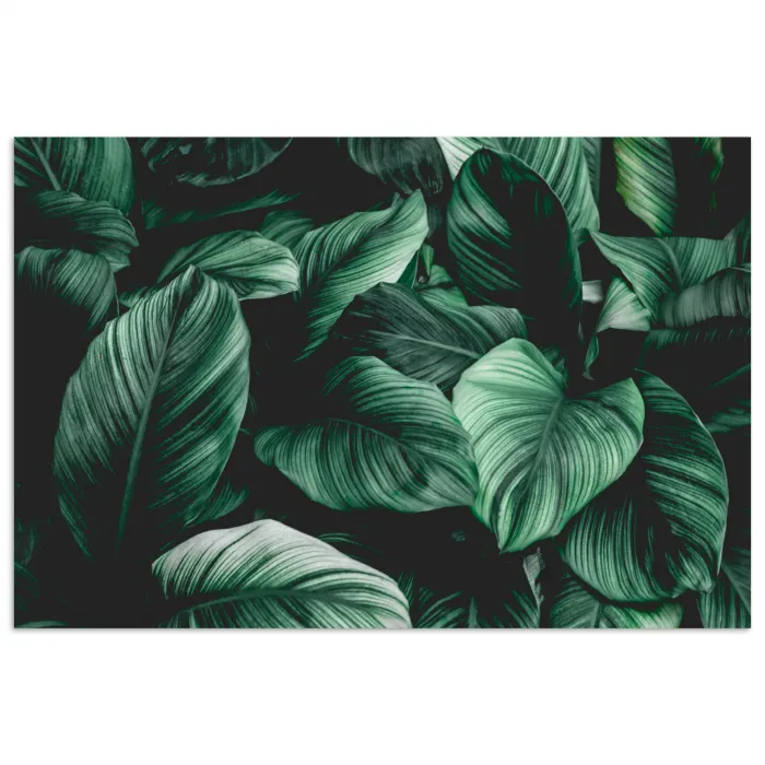 Jungle - Bladeren - Tropisch - Planten - Natuur poster papier klein -3d