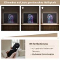 Leeuw - Kleuren - Zwart - Dieren Light Box met batterij (Wandlamp) middel -USP_dimbaarDE