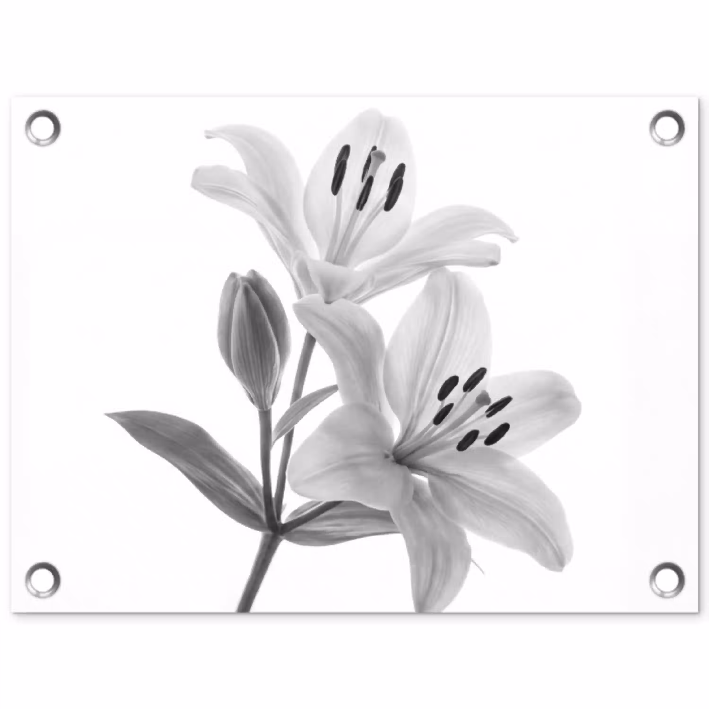 Lelies - Elegant - Zwart - Wit tuinposter los doek klein -3d