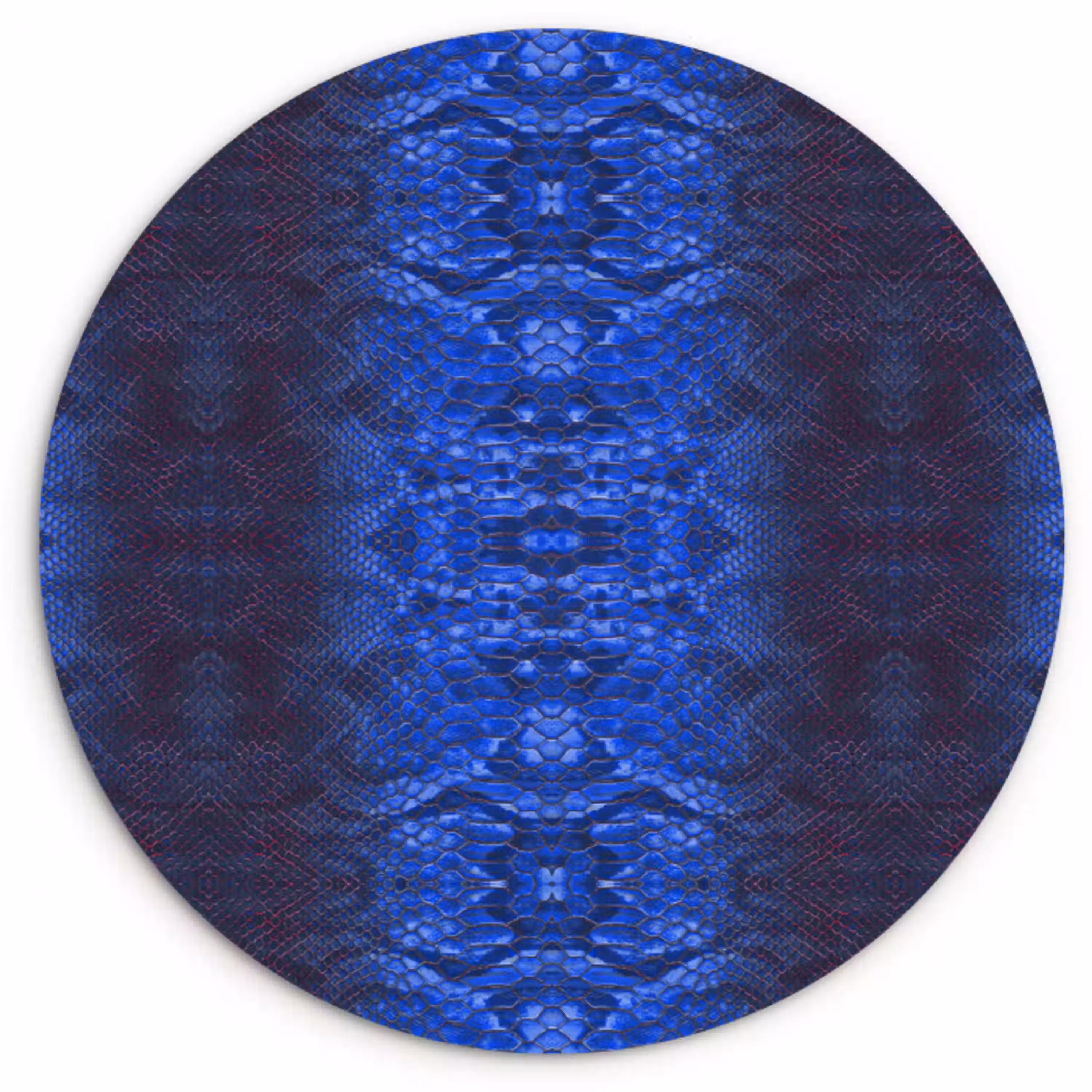 Slang - Boa - Blauw - Rood Wandcirkel plexiglas klein 852 -3d
