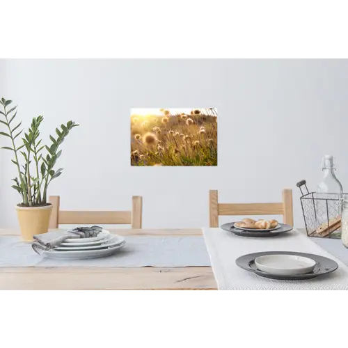Planten - Natuur - Bloemen Muursticker klein -eettafel