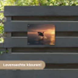 Orka - Zee - Zonsondergang tuinposter los doek klein -sfeer3