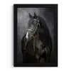 Portret - Paard - Zwart fotolijst zwart zonder passe partout klein -3d