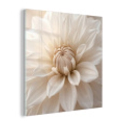 Bloem - Dahlia - Wit plexiglas 5mm klein -z3d