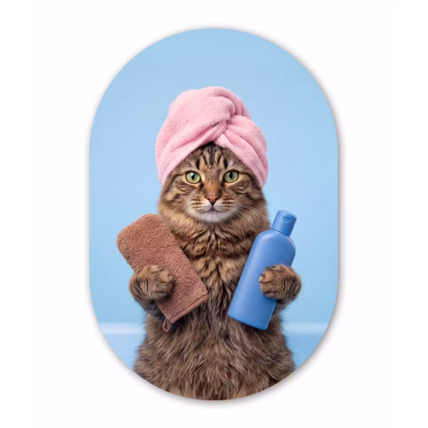 Alu-Dibond-Bild Oval - Katze - Handtuch - Waschlappen - Seife