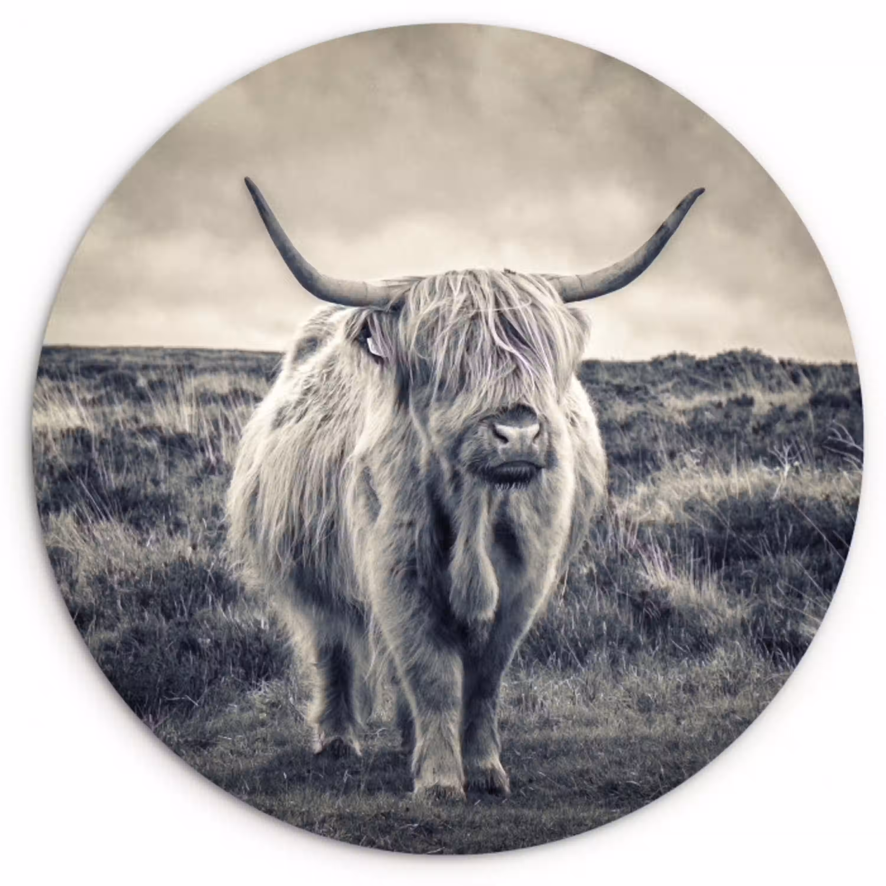 Schotse hooglander - Dieren - Wolken - Koe - Natuur Wandcirkel kunststof plaat 5mm dik klein -3d