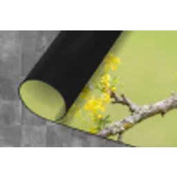 Vogel - Tak - Natuur - Kleurrijk Keukenloper - keukenmat middel -closeup