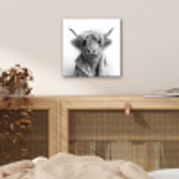 Schotse Hooglander - Koe - Badjas - Zwart wit aluminium wit klein -sfeer3