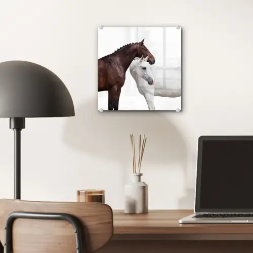 Paard - Modern - Balans plexiglas 5mm klein -sfeer6