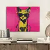 Kat - Art - Zonnebril - Roze PET vilt klein -sfeer1