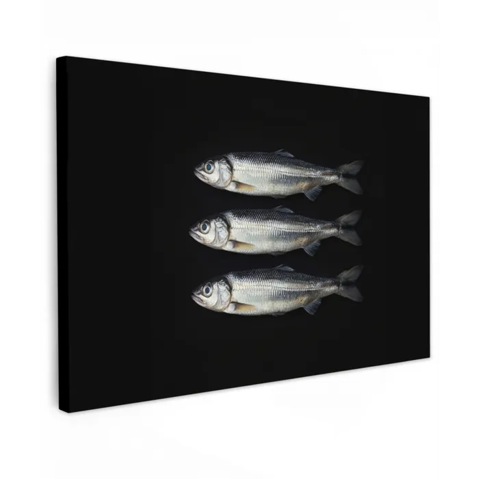 Haring - Vissen - Zwart Tuinposter op houten frame 2 cm dik klein -3d