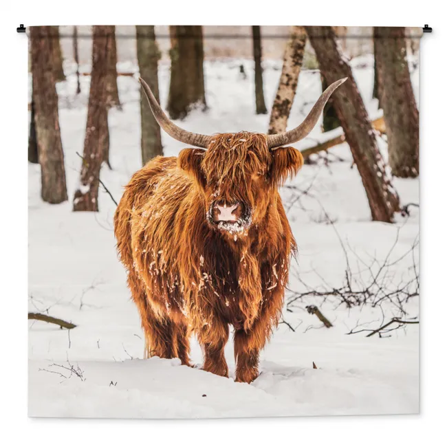 Wandkleed - Schotse Hooglander - Sneeuw - Winter - Natuur - Dieren