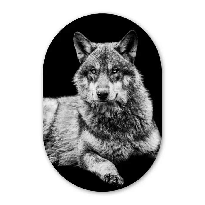Wilde dieren - Wolf - Zwart - Wit Wandcirkel Ovaal Forex klein -3d