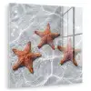 Zeesterren - Water - Helder plexiglas 5mm klein -zzzproduct_nieuw