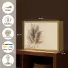 Graan - Pastel - Natuur Light Box met batterij (Wandlamp) middel -USP_websiteoverzichtNL