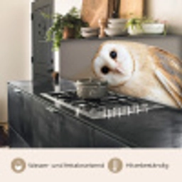 Uil - Bruin - Wit keuken achterwand 2 middel -usp_DE