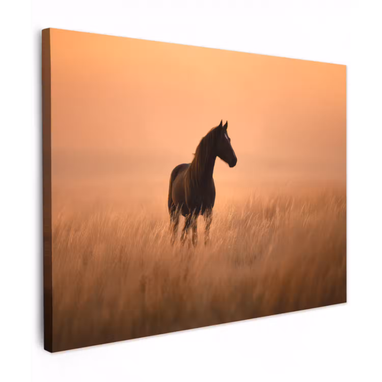 Leinwandbild - Pferd - Wiese - Sonnenuntergang
