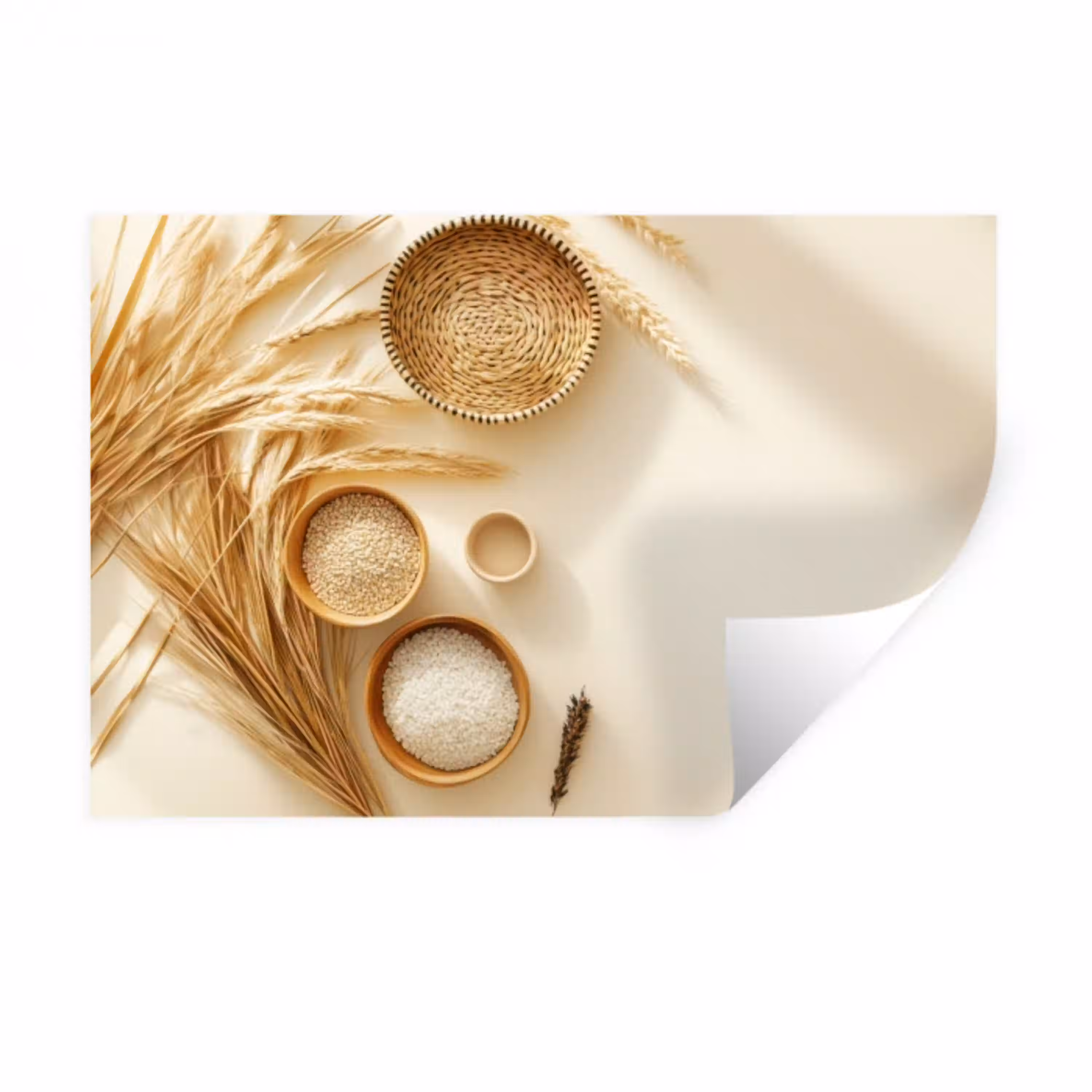 Granen - Hout - Kom - Beige Muursticker klein -3d
