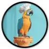 Papegaai - Koksmuts - Grappig - Vogel Fotolijst rond zonder passe partout klein -3d