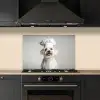 Hond - Wit - Kok keuken achterwand spatscherm klein -sfeer1