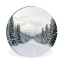 Weg - Sneeuw - Naaldbos - Winter - Avontuurlijk Wandcirkel aluminium klein -3d