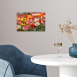 Bloemenveld - Klaprozen - Kleurrijk poster papier klein -sfeer3