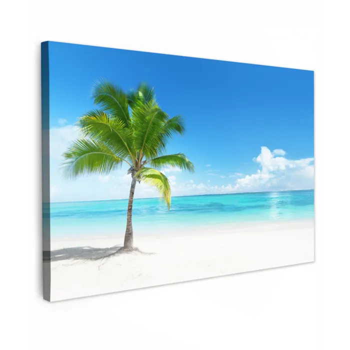 Palmboom - Strand - Zee - Zomer canvas 2cm klein -z3d