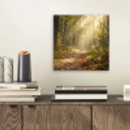 Zonlicht - Bospad - Bomen aluminium wit klein -sfeer1