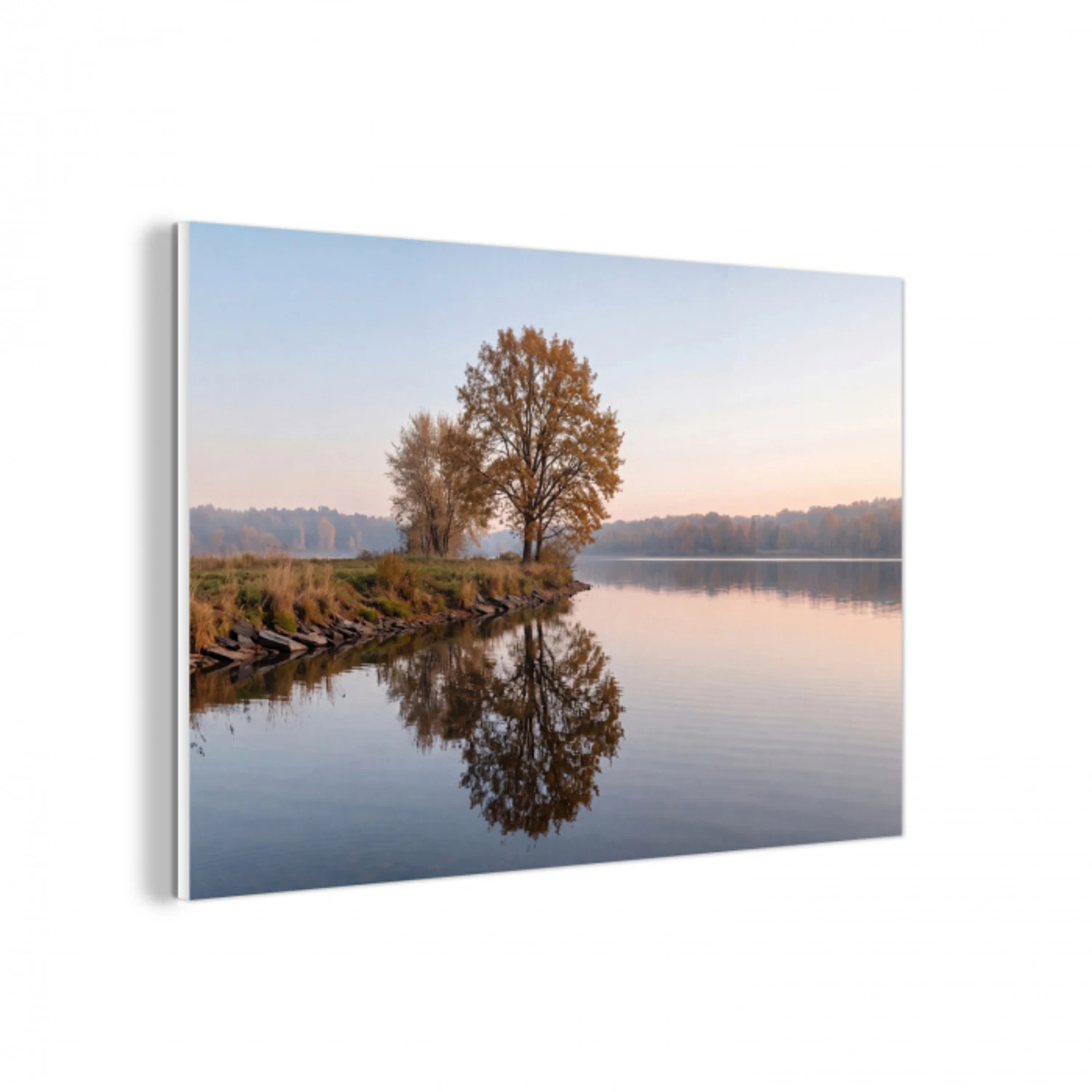 Bomen - Reflectie - Water - Zonsopgang - Serene forex 5mm xxl -3d