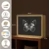 Vlinder - Grijs - Mysterieus Light Box met batterij (Wandlamp) middel -USP_websiteoverzichtNL