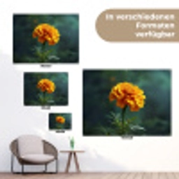 Bloemblaadjes - Afrikaan - Oranje - Wazig tuinposter los doek klein -Xsfeer9_DE