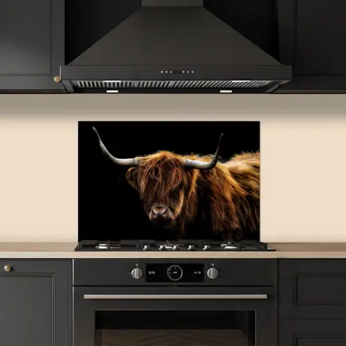 Schotse Hooglander - Horens - Zwart - Dieren - Natuur - Wild - Koe keuken achterwand spatscherm klein -sfeer1