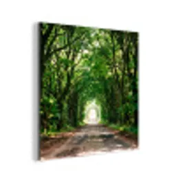 Weg - Bomen - Natuur - Groen aluminium wit klein -3d