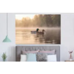 Eenden - Water - Mist - Natuur forex 5mm xxl -slaapkamer