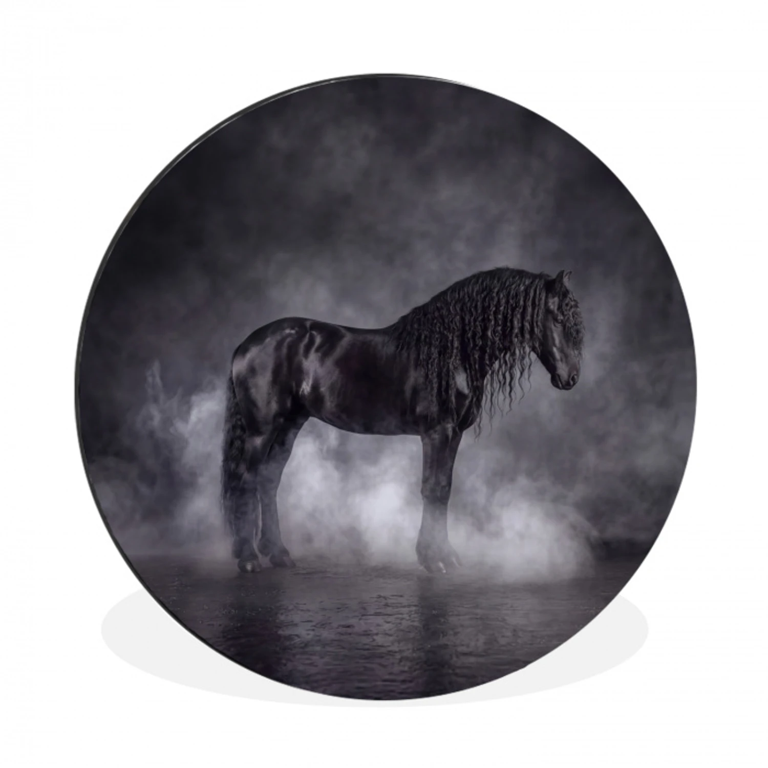 Paard - Magisch - Zwart Wandcirkel aluminium klein -3d