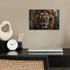 Leeuw - Dieren - Portret - Zwart - Luxe poster papier klein -sfeer1