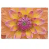 Dahlia - Bloem - Oranje Deurmat klein -zkaufland3d