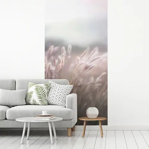 Graspluimen - Wind - Beige - Mistig fotobehang vinyl groot -woonkamer