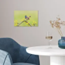Vogel - Tak - Natuur - Kleurrijk poster papier klein -sfeer3