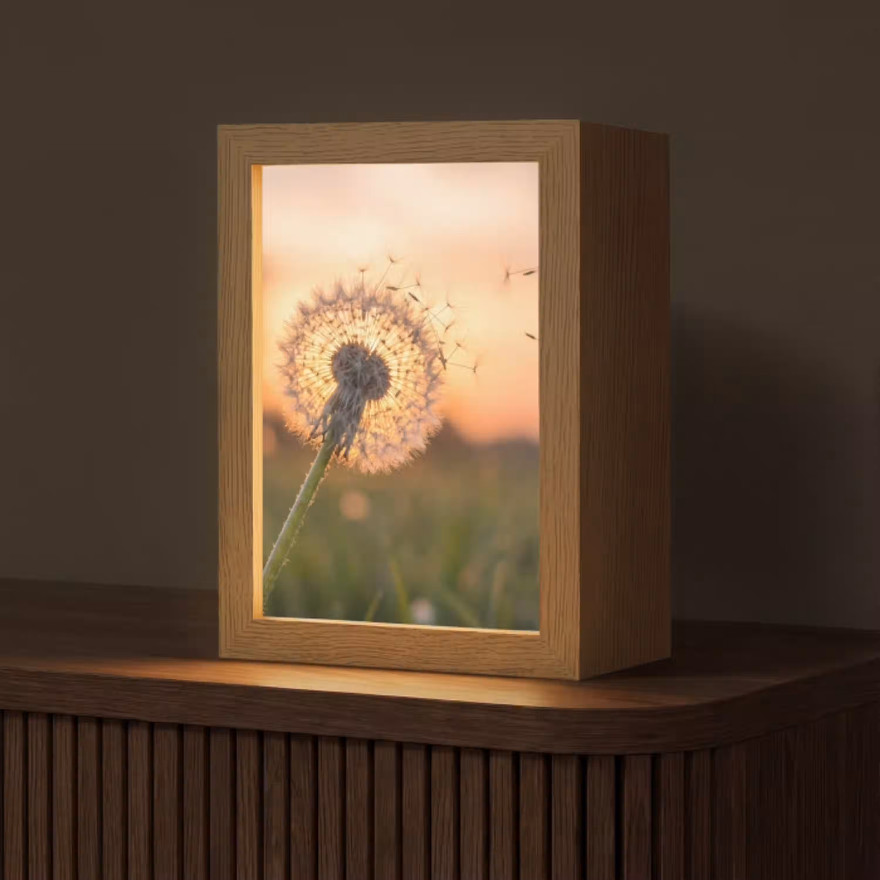Paardenbloem - Zonsondergang - Veld Light Box met kabel (Tafellamp) klein -z3d_website