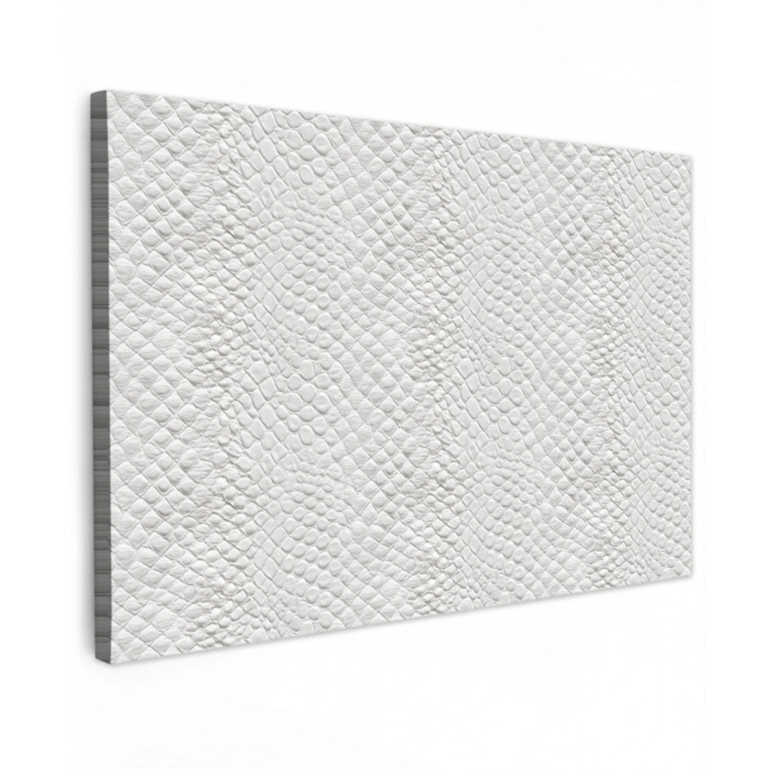 Slang - Patroon - Wit Tuinposter op houten frame 2 cm dik klein 845 -3d