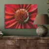 Close up - Bloem - Quote - Rood PET vilt klein -sfeer2