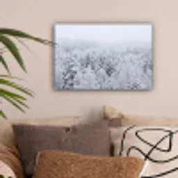 Bos - Sneeuw - Winter - Natuur - Wit canvas 2cm klein -sfeer1