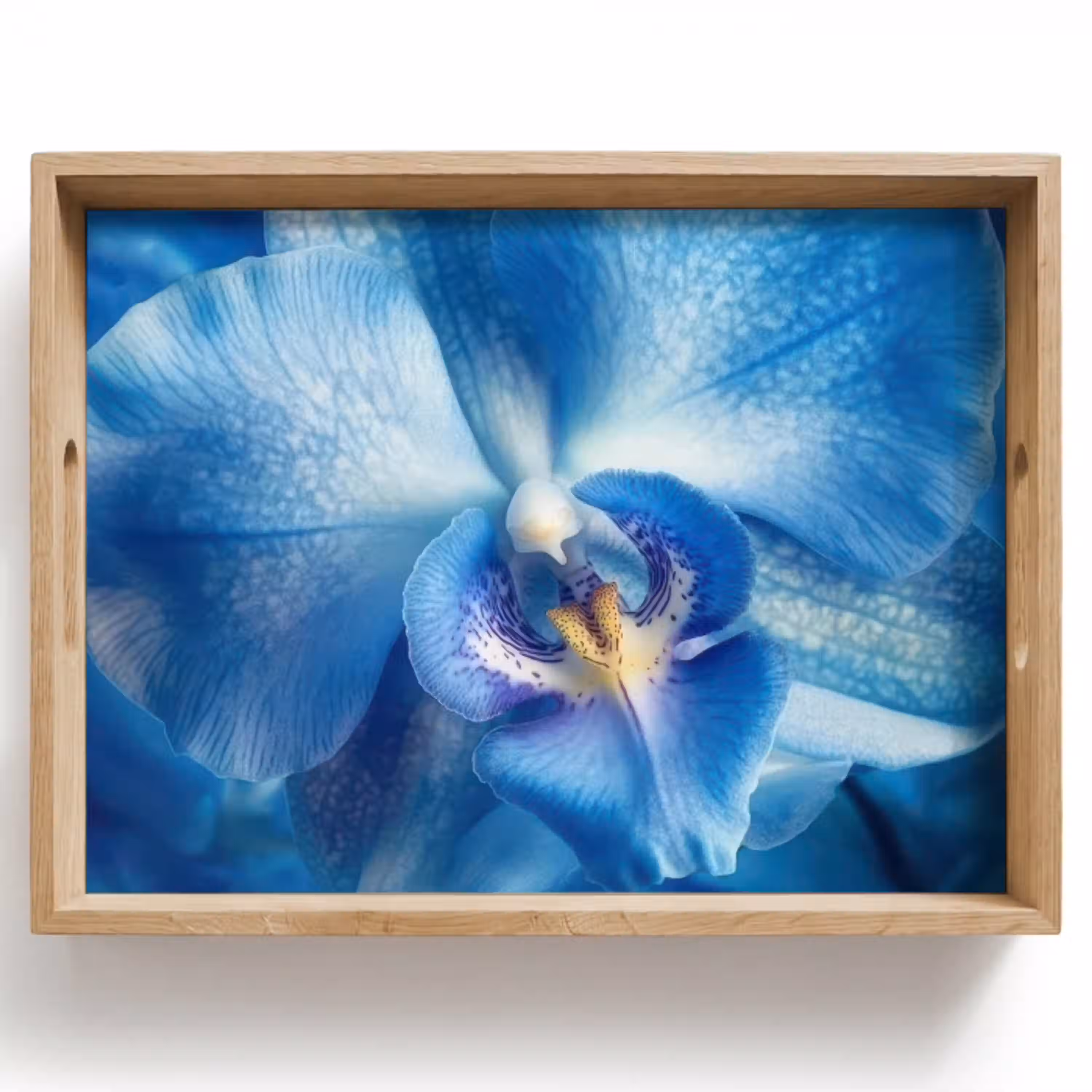 Blauw - Orchidee - Elegeant Dienblad Rechthoek middel -z3d_shopping