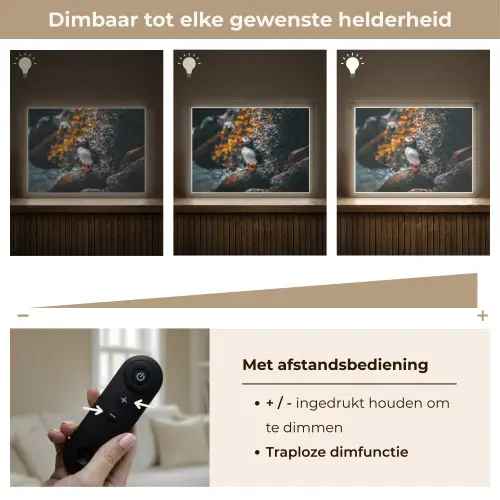 Papegaai - Vogel - Rots - Wit Light Box met batterij (Wandlamp) middel -USP_dimbaarNL