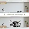Koe - Schotse hooglander - Zwart - Wit - Dier - Natuur - Wild keuken achterwand spatscherm klein -voor_na_NL